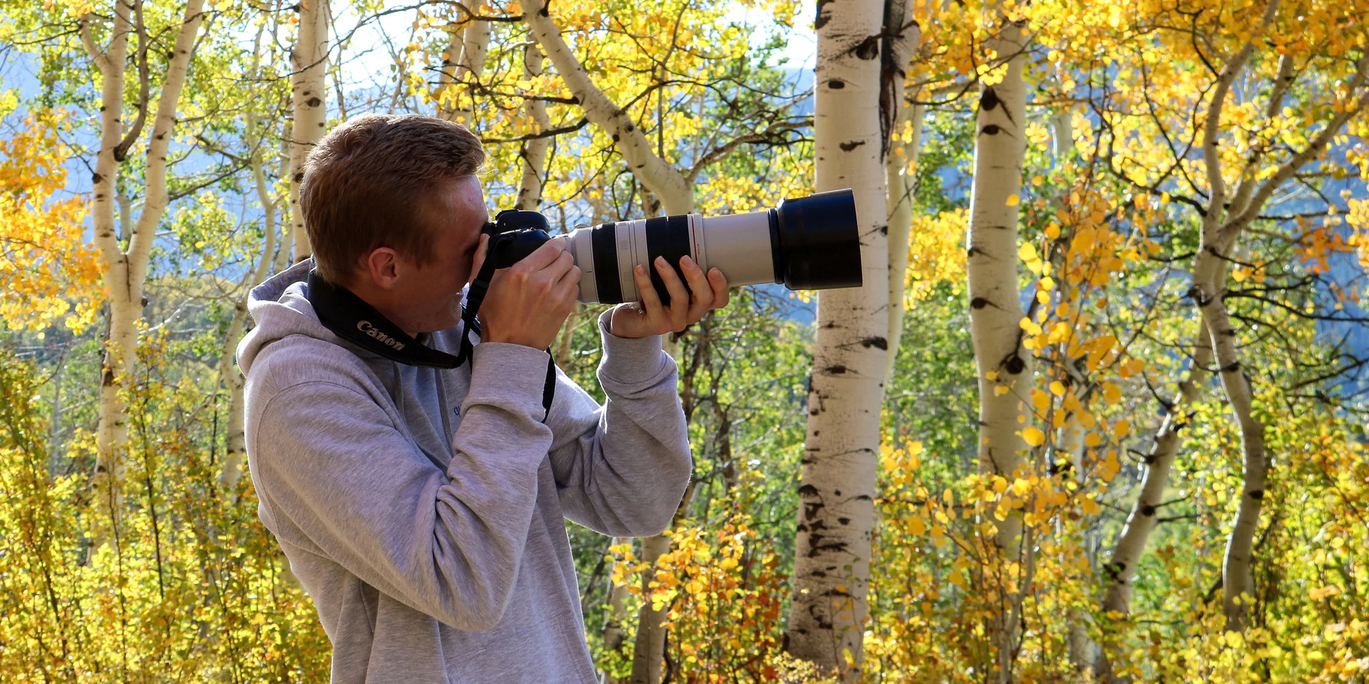 Wildlife photographer in an autumn aspen grove